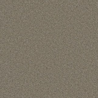 Dreamweaver Carpet Blazer III Umber DREAMWEAVER