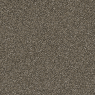 Dreamweaver Carpet Blazer I Fawn DREAMWEAVER