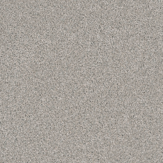 Dreamweaver Carpet Windy City I Falling Star DREAMWEAVER