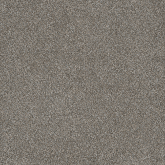 Dreamweaver Carpet Monte Carlo I Dogwood DREAMWEAVER