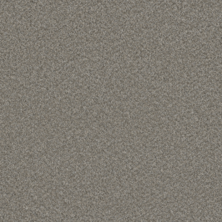 Dreamweaver Carpet Blazer II Dogwood DREAMWEAVER