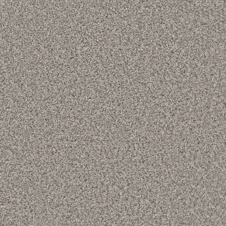 Dreamweaver Carpet Windy City III Cottonwood DREAMWEAVER