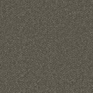 Dreamweaver Carpet Royale I Rugby DREAMWEAVER