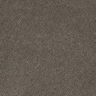 Dreamweaver Carpet Monte Carlo I Rugby DREAMWEAVER