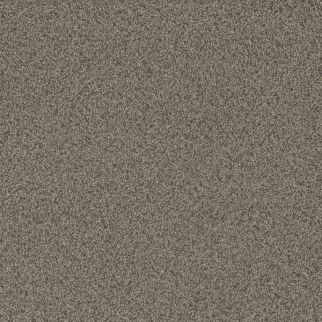 Dreamweaver Carpet No Limits I Madura Sands DREAMWEAVER