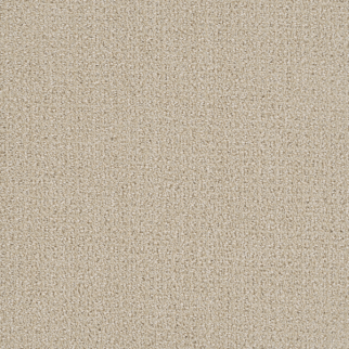 Dreamweaver Carpet Pinpoint Champagne DREAMWEAVER