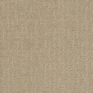 Dreamweaver Carpet Modern Edge Soft Pine DREAMWEAVER