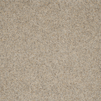 Dreamweaver Carpet Astounding I Pearl Stone DREAMWEAVER