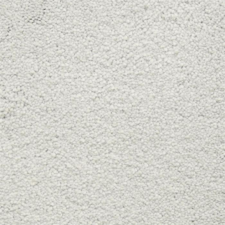 Masland Carpets Ravishing Lovely Masland