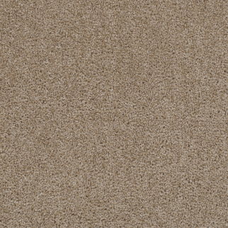 Dreamweaver Carpet First Step Biscotti DREAMWEAVER