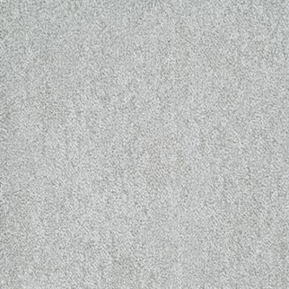 Masland Carpets Buena Vida Cacti Masland