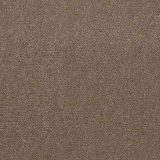 Philadelphia Commercial Baytowne III 30 Bashful Taupe Shaw