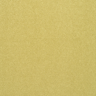 Fabrica Carpets Captiva Citrus Burst Fabrica