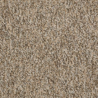 Shaw Floors All The Rage 26 Boundaries SHAW