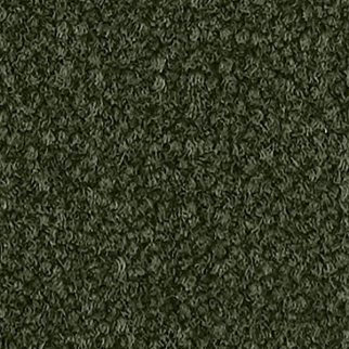 Aladdin Commercial Influencer 30 Olive Branch Mohawk
