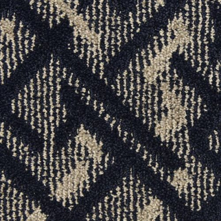Masland Carpets Orion Outer Space Masland