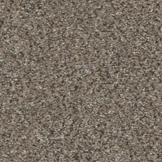 Shaw Floors Without Limits I Saddle Tan SHAW