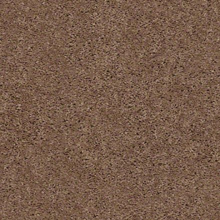 Shaw Floors Break Away (S) Clay SHAW