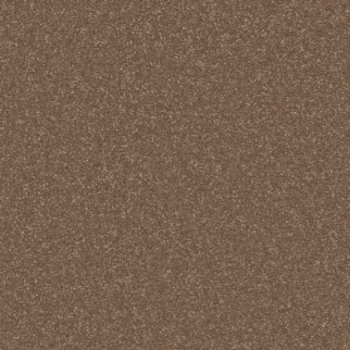 Shaw Floors Awaken Spirit II 15' Copperglaze SHAW