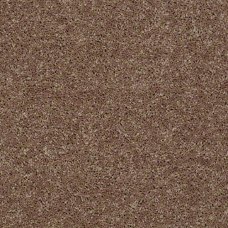 Shaw Floors All Star Weekend I 15' Granola SHAW