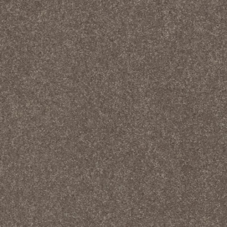 Shaw Floors Easy Spirit III 15 Pewter SHAW