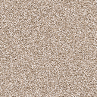 Dreamweaver Carpet Cape Cod Sawgrass DREAMWEAVER