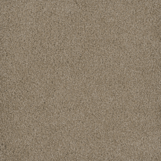 Dreamweaver Carpet Hammond Creek I Sawgrass DREAMWEAVER