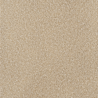 Dreamweaver Carpet Star Struck Sawgrass DREAMWEAVER