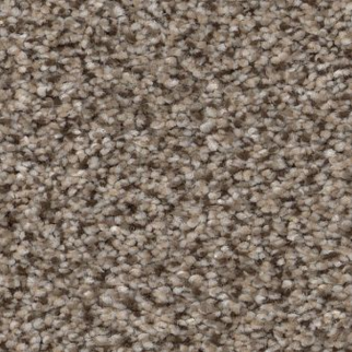 Shaw Floors Truspirit I Truffle SHAW