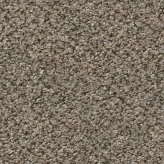 Shaw Floors Trusplendor Truffle SHAW