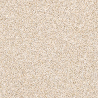Mohawk Carpet Dynamic Quality I Sheepskin Mohawk
