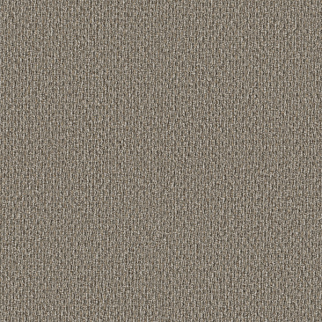 Shaw Floors StoneBrook Walnut Grove SHAW