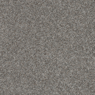 Dreamweaver Carpet Prismatic II Primary DREAMWEAVER