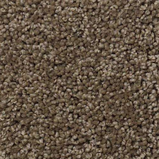 Shaw Floors Origins Townhouse SHAW