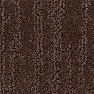 Shaw Floors Bandon Dunes Mocha Chip SHAW