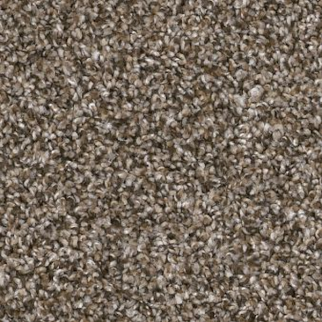 Shaw Floors Soft Effervescence Mocha Latte SHAW