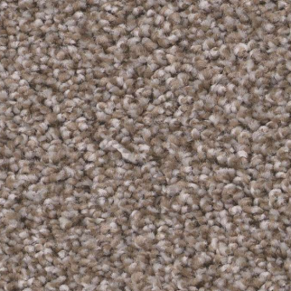 Shaw Floors Trusolutions II Taupe Dream SHAW