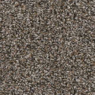 Shaw Floors Soft Effervescence Tree Bark SHAW