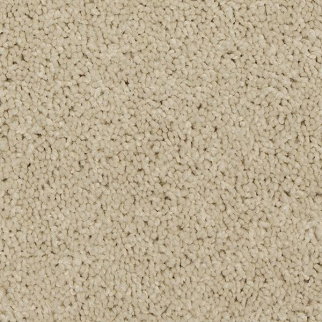 Mohawk Carpet Up The Ante Bare Essence Mohawk