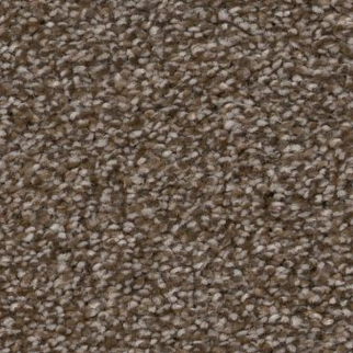 Shaw Floors Truspirit II Chestnut SHAW