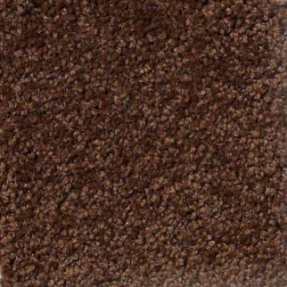 Shaw Floors Magic At Last III 15' Cocoa SHAW