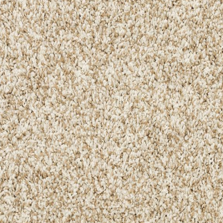 Mohawk Carpet Diffurent Choice I Coconut Mohawk