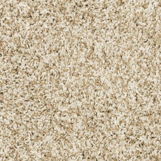 Mohawk Carpet Purrsonality II Coconut Mohawk