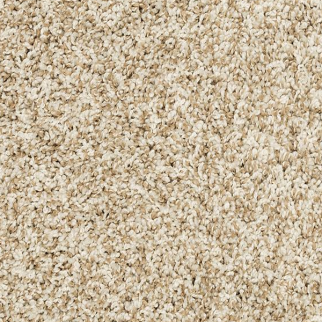 Mohawk Carpet Raise The Woof II Coconut Mohawk