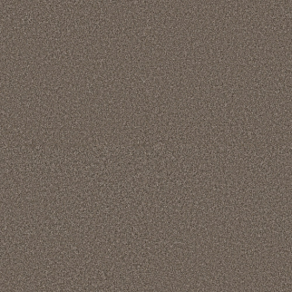 Shaw Floors Affirmation I Havana SHAW