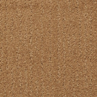Masland Carpets Nature's Essence Sable Masland