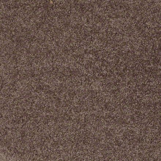 Shaw Floors All Star Weekend II 15' Molasses SHAW
