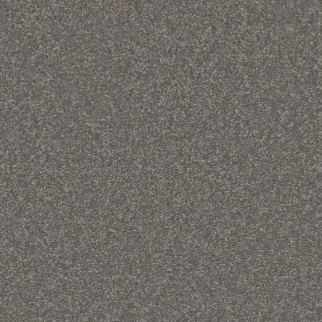 Shaw Floors Awaken Spirit II 12' Taupetone SHAW