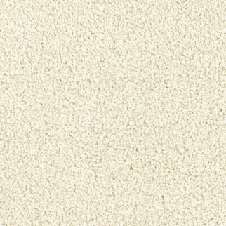 Dixie Home Spring Break Sand