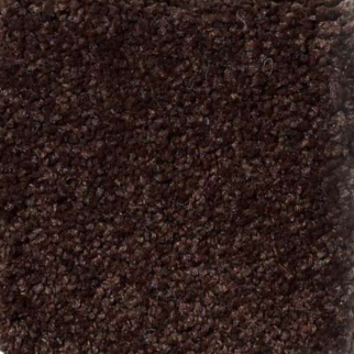 Shaw Floors Magic At Last III 15' Fudge Brownie SHAW